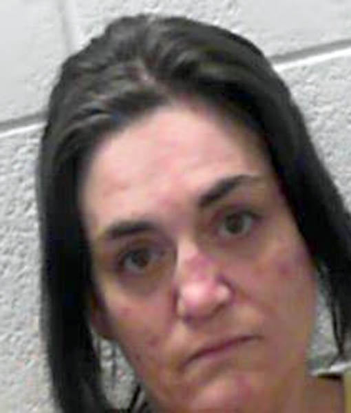 Buckhannon woman facing charges News, Sports, Jobs The Intermountain